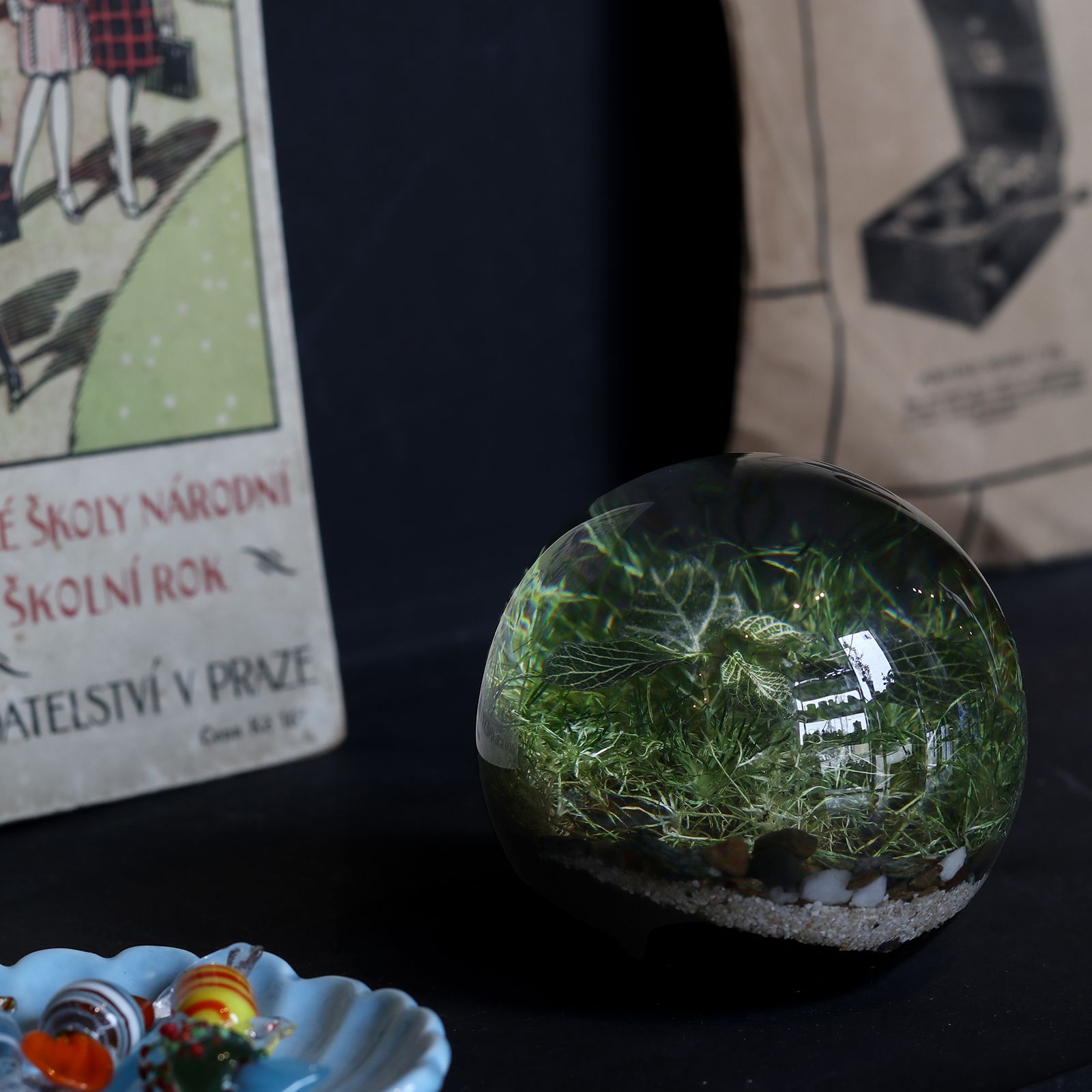 「EVER LEAF BALL」Fittonia Green