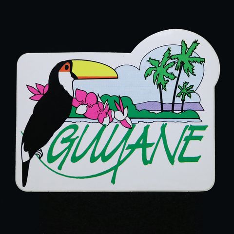GUYANE ヴィンテージステッカー