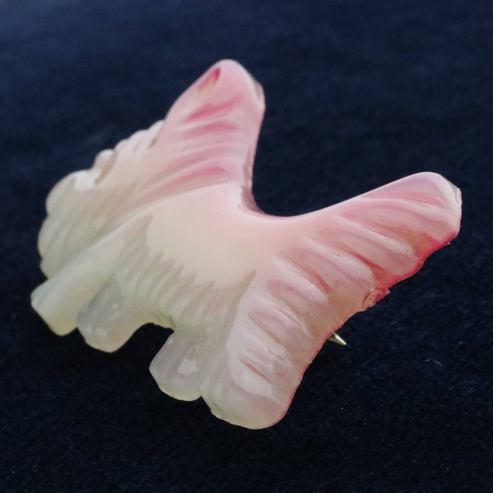 プラスチックブローチ「ヨークシャテリア」