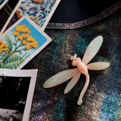 「グラデーショントンボ」ブローチ フランス
