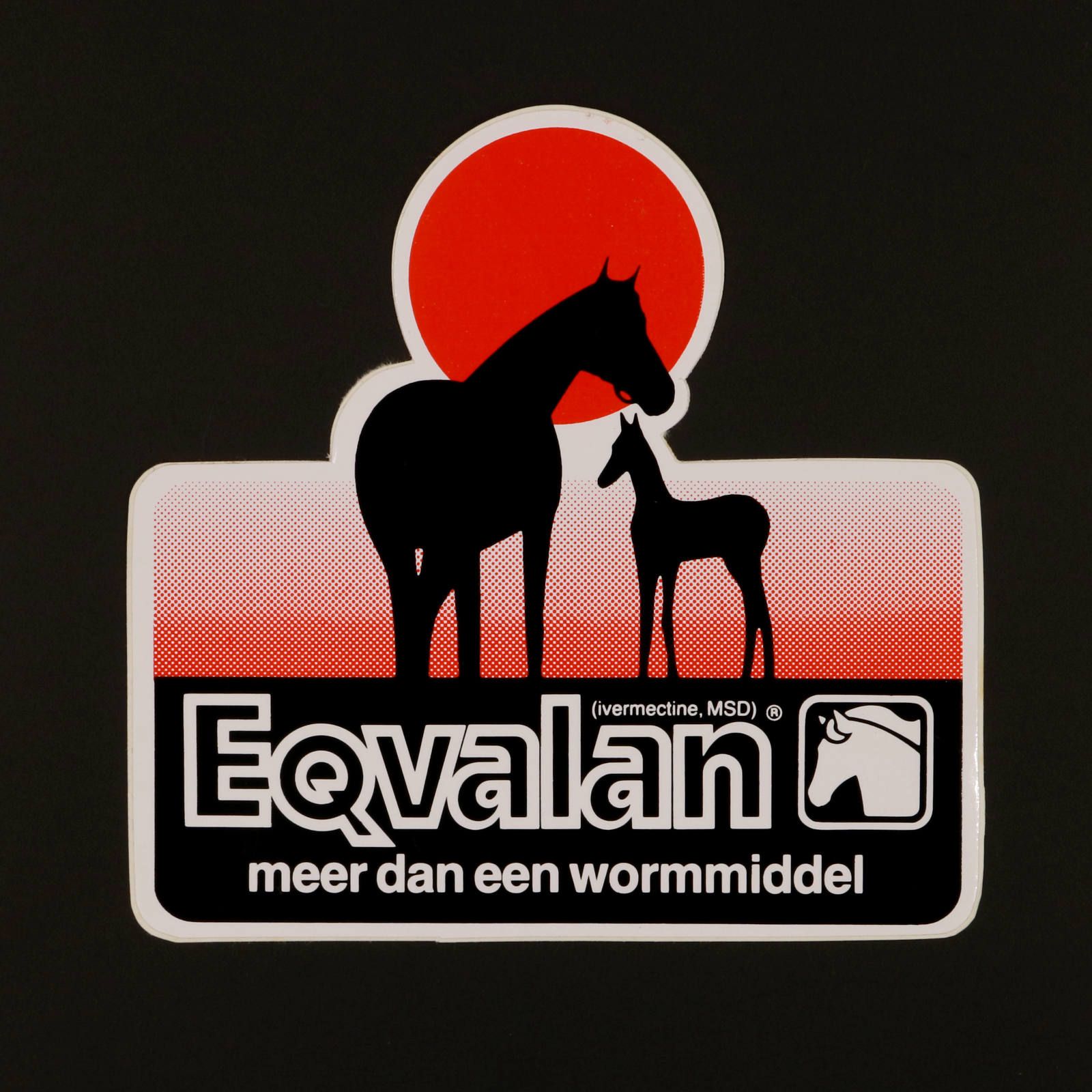 Eqvalan ヴィンテージステッカー オランダ