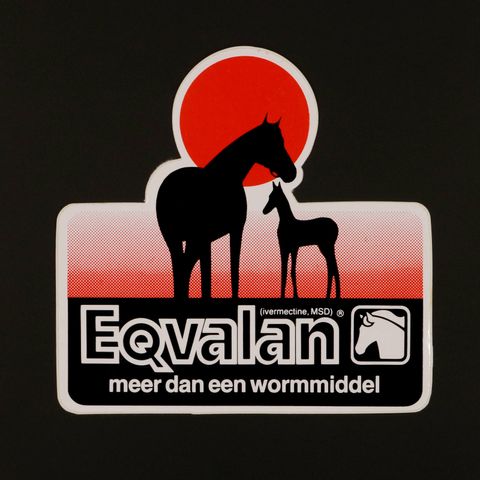 Eqvalan ヴィンテージステッカー オランダ