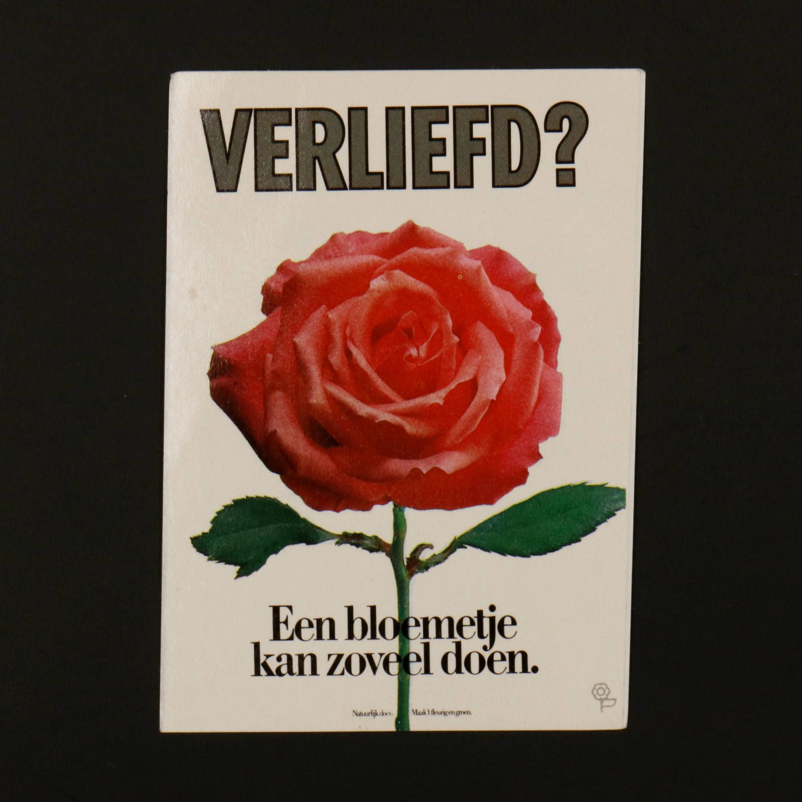 VERLIEFD? ヴィンテージステッカー オランダ
