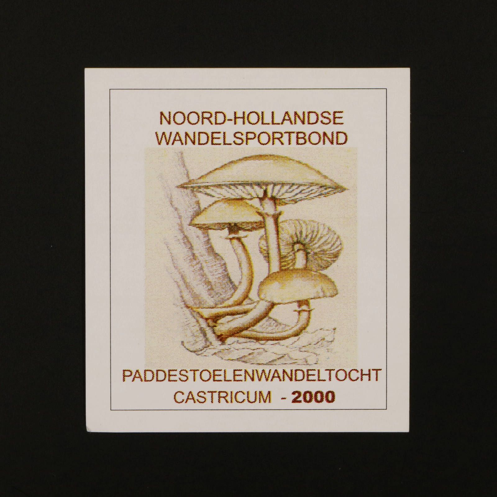 PADDESTOELENWANDELTOCHT ヴィンテージステッカー オランダ