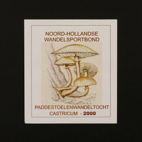 PADDESTOELENWANDELTOCHT ヴィンテージステッカー オランダ