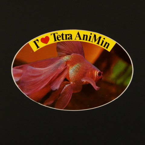 I Love Tetra AniMin ヴィンテージステッカー オランダ