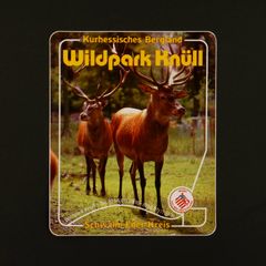 Wildpark Knull ヴィンテージステッカー オランダ