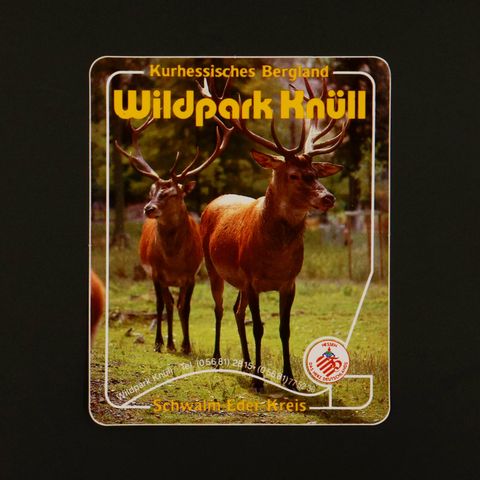 Wildpark Knull ヴィンテージステッカー オランダ