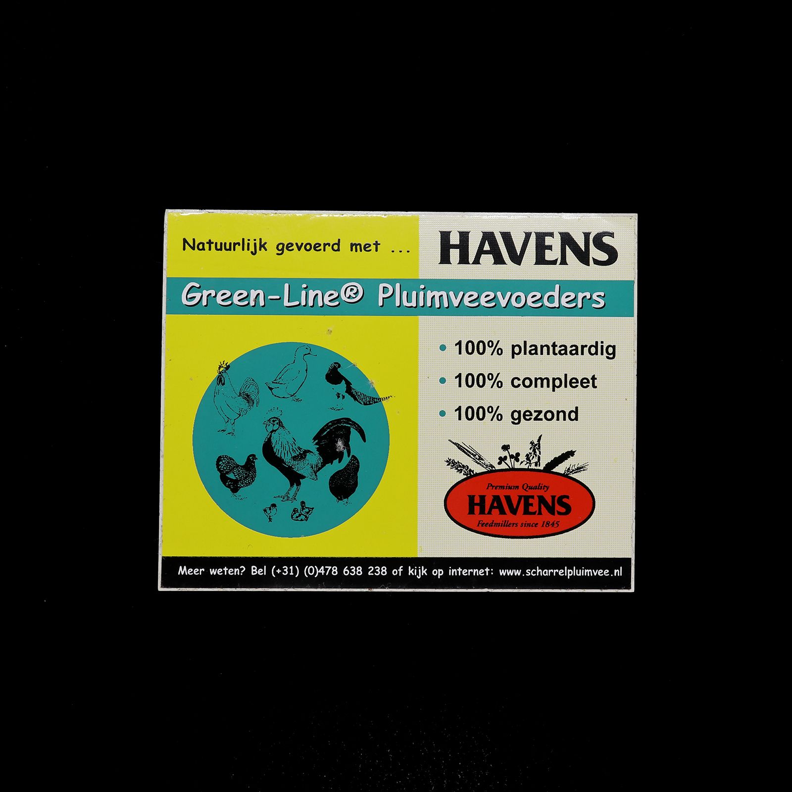 「HAVENS」ヴィンテージステッカー ヨーロッパ