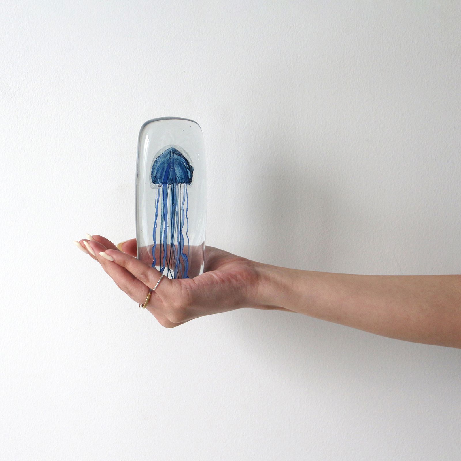 JELLYFISH TWISTED LEG "Tall/Blue"