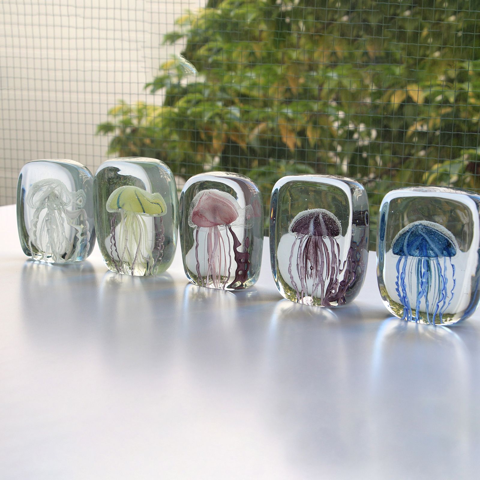 JELLYFISH TWISTED LEG "Square/Blue"