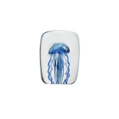 JELLYFISH TWISTED LEG "Square/Blue"