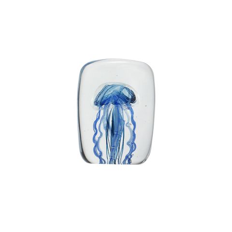 JELLYFISH TWISTED LEG "Square/Blue"
