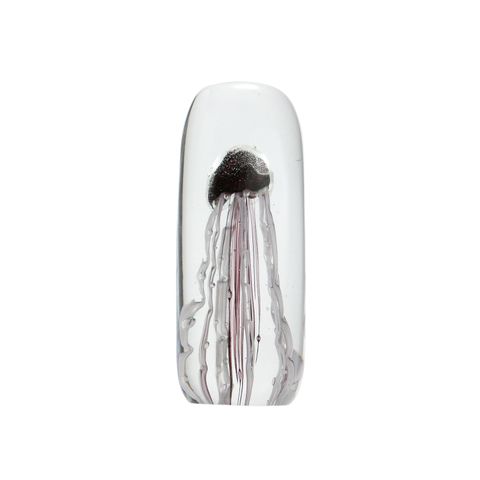 JELLYFISH TWISTED LEG "Tall/Purple"