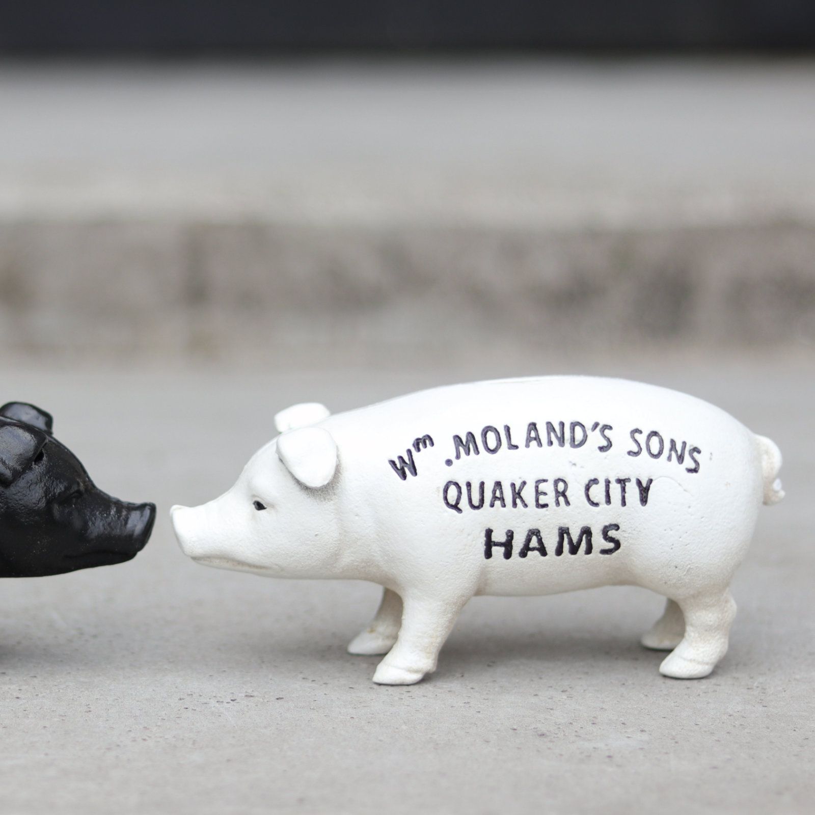 Hams Standing Pig Bank "White"
