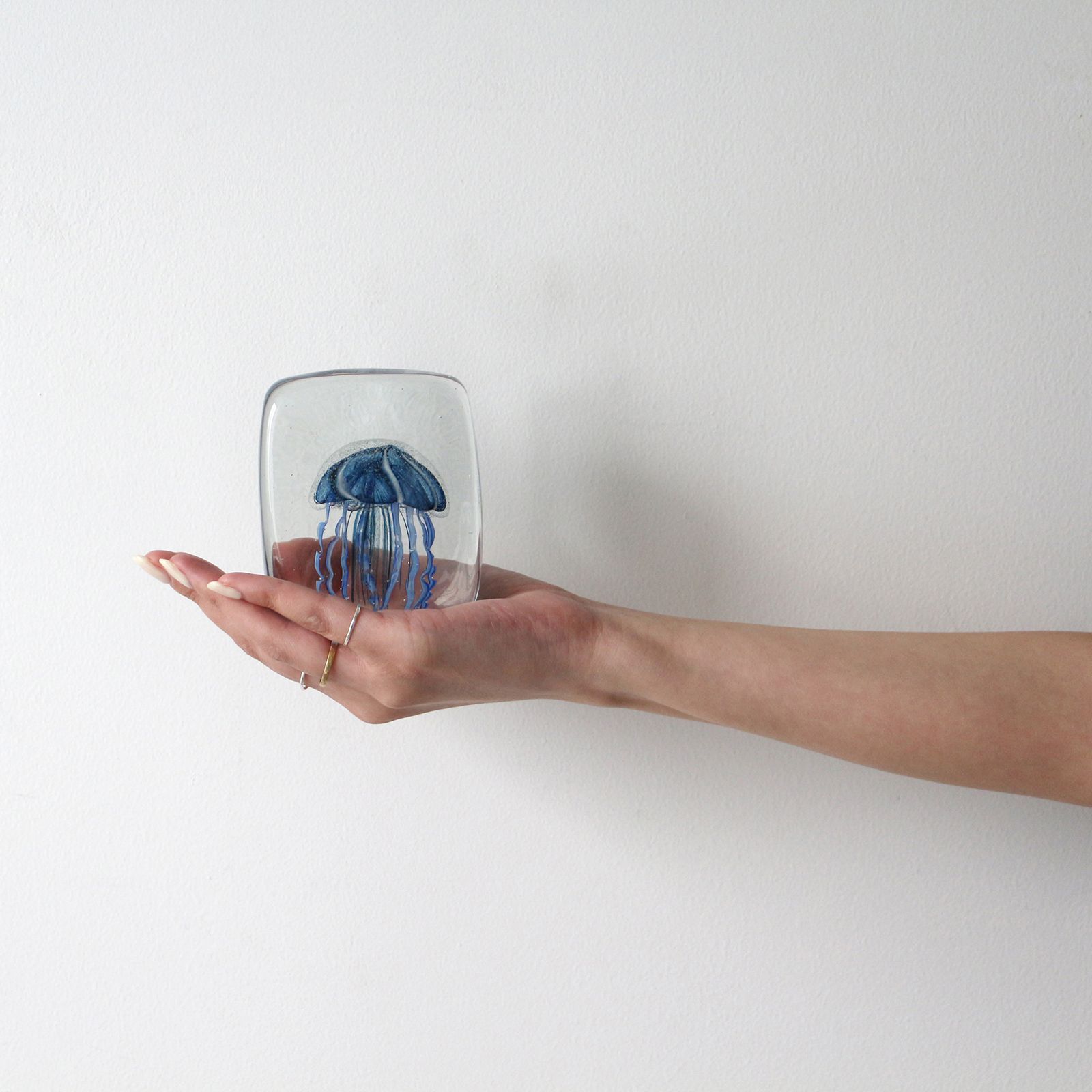 JELLYFISH TWISTED LEG "Square/Blue"