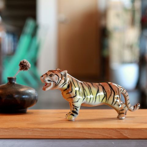 Chiang Mai Tiger
