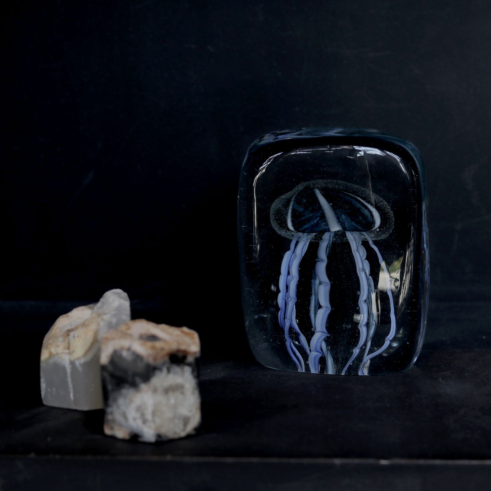JELLYFISH TWISTED LEG "Square/Blue"
