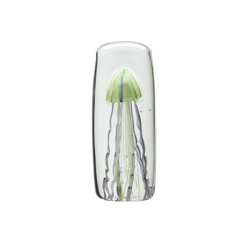 JELLYFISH TWISTED LEG "Tall/Yellow"