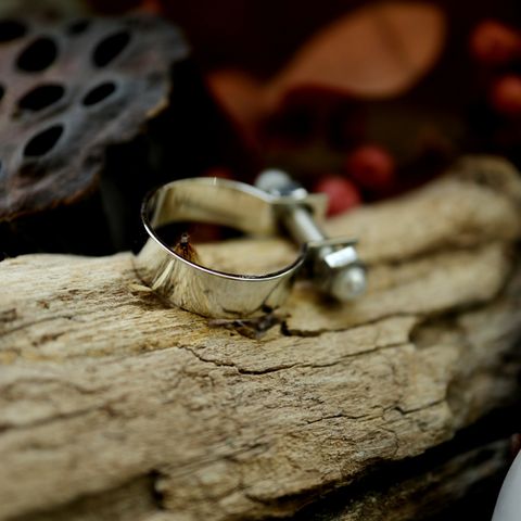 「Franken ring」リング シルバー×シルバー