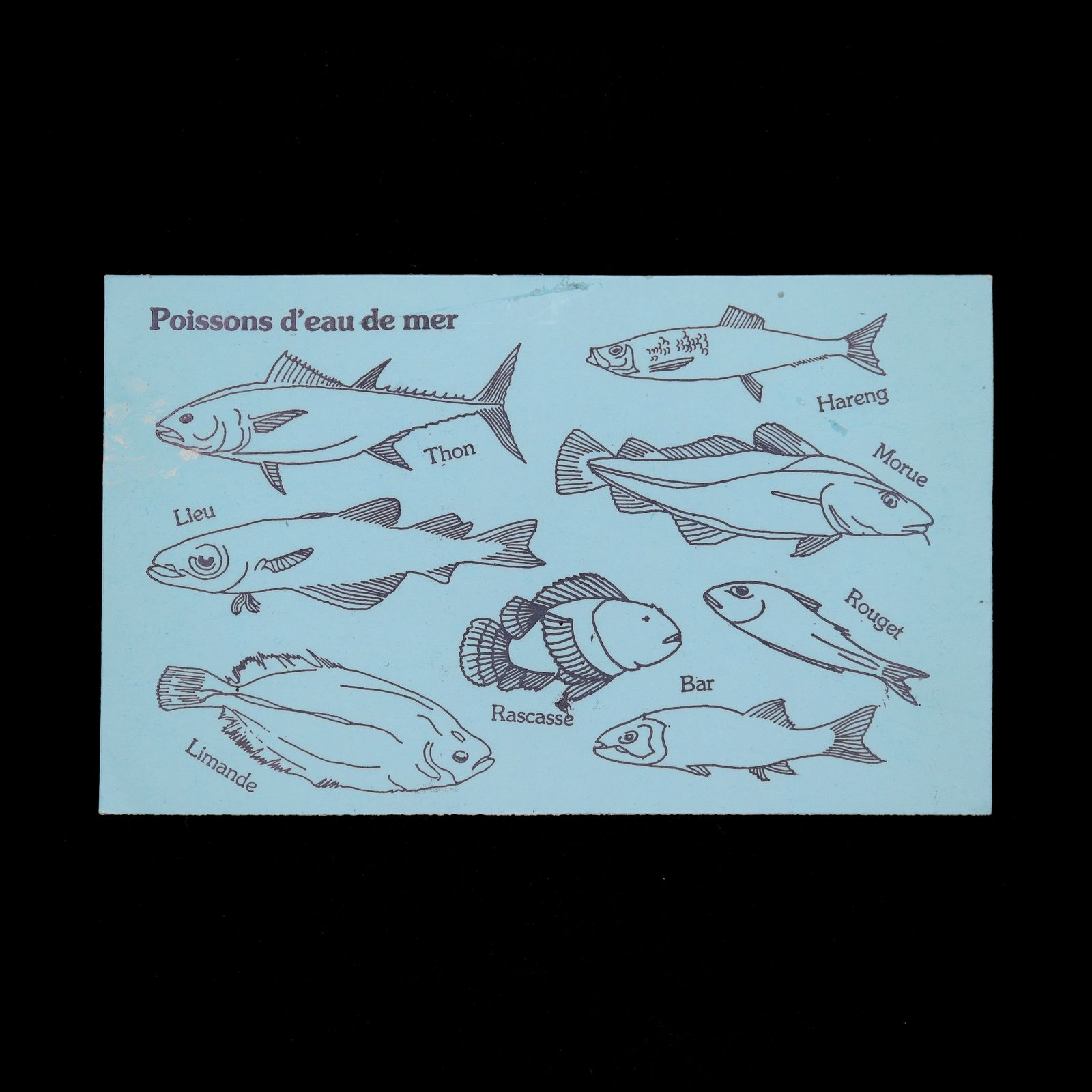 Poissons d'eau de mer ヴィンテージステッカー フランス