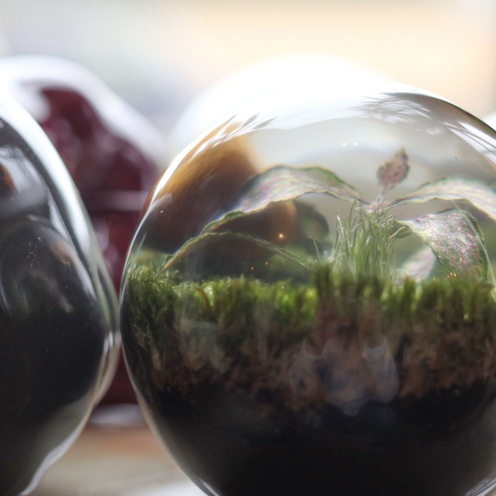 「EVER LEAF BALL」Copper Coin Glass