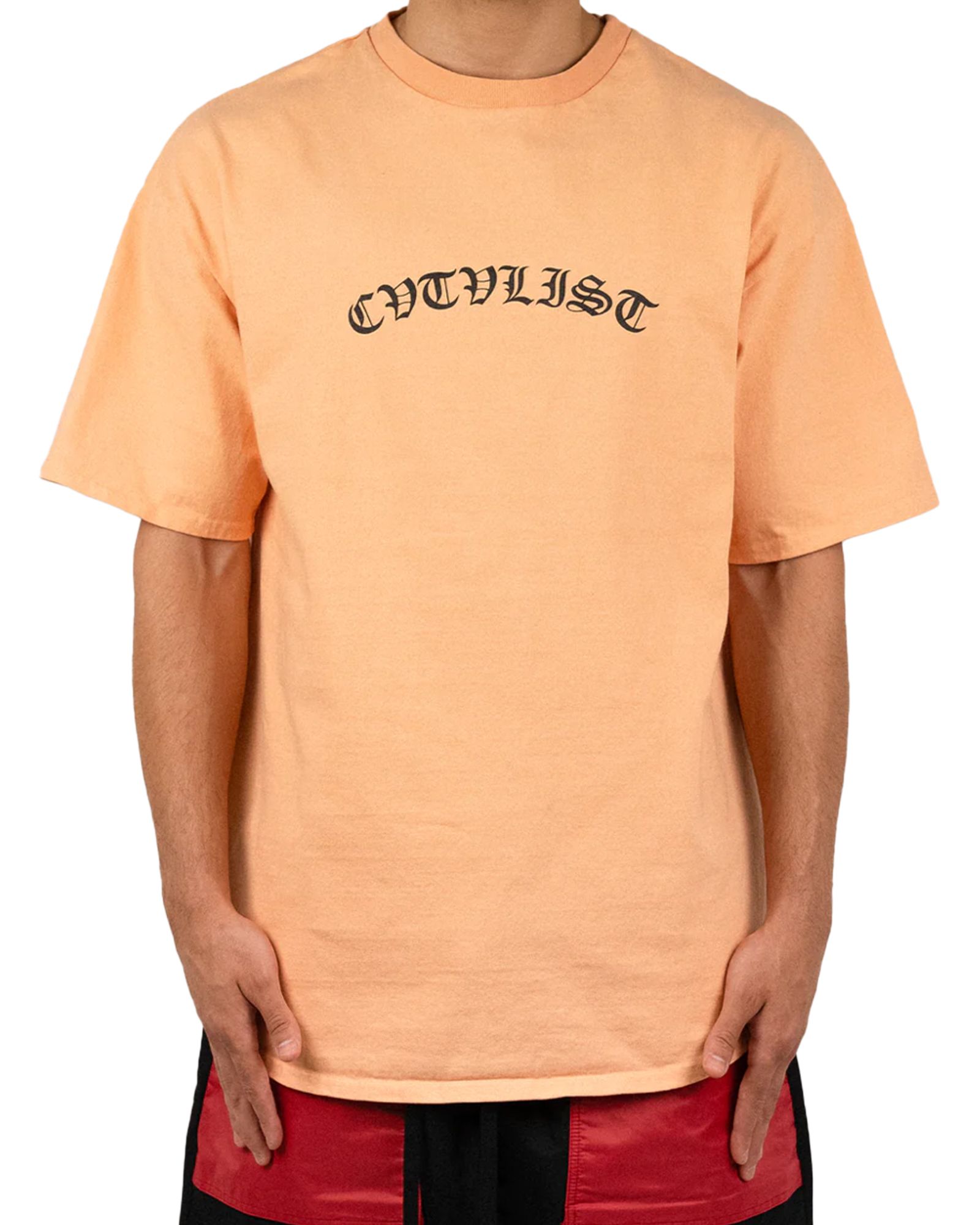 CVTVLIST - CTLS I Big Logo Tee | Detail