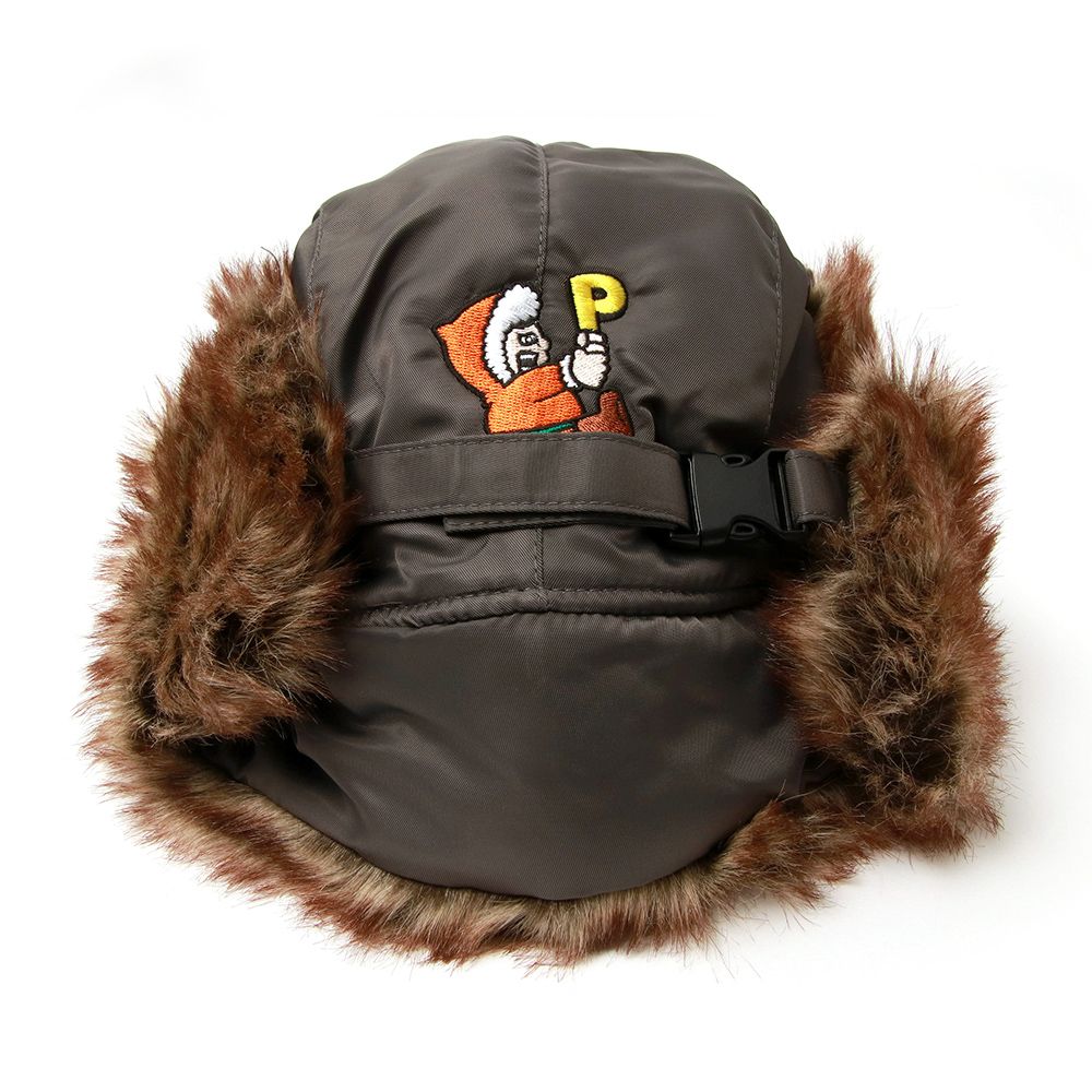 北極あいつフライトCAP