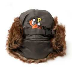北極あいつフライトCAP
