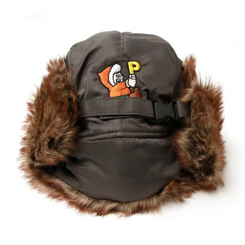 北極あいつフライトCAP