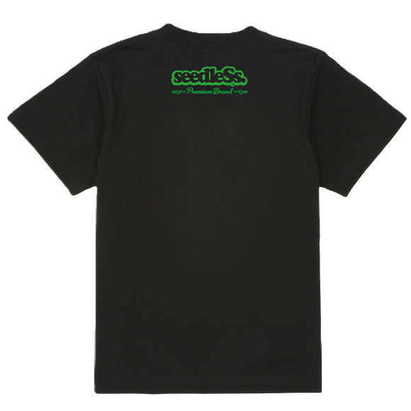 sd Flying Fortress s/s tee