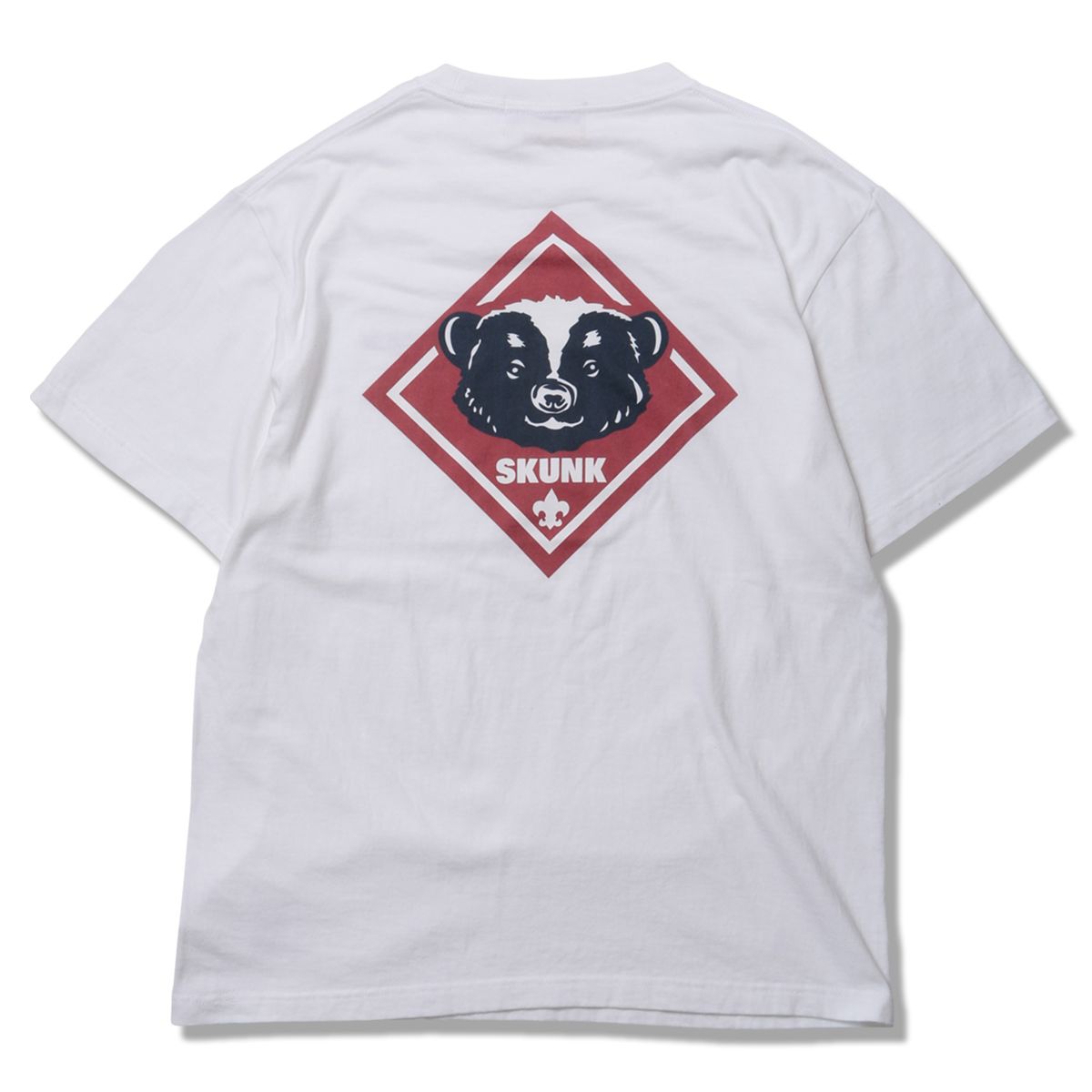 SKUNK-SCOUT