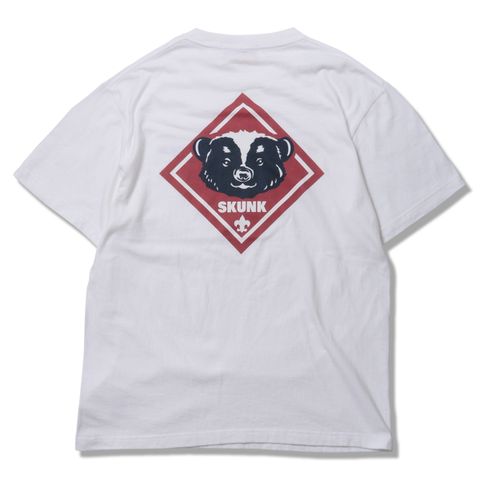 SKUNK-SCOUT