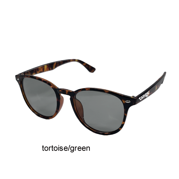 rg somewhat large sunglasses 調光・偏光