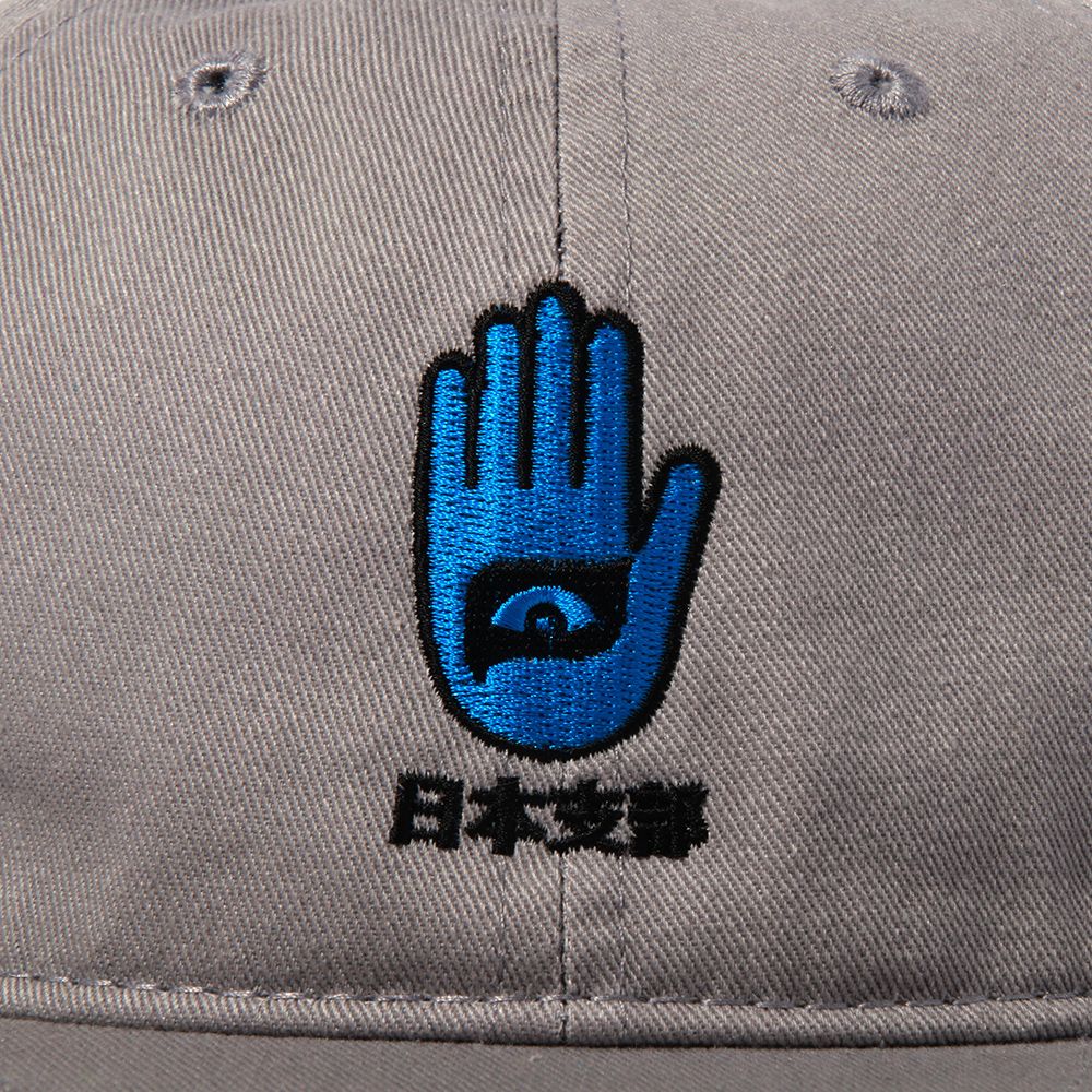日本支部CAP