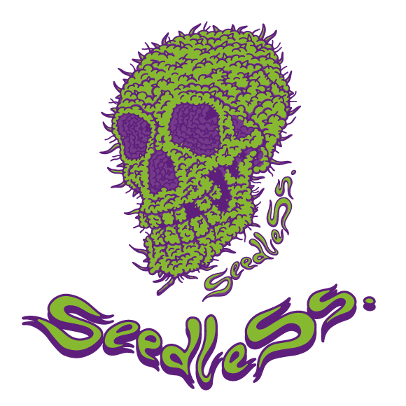 sd skull buds s/s tee