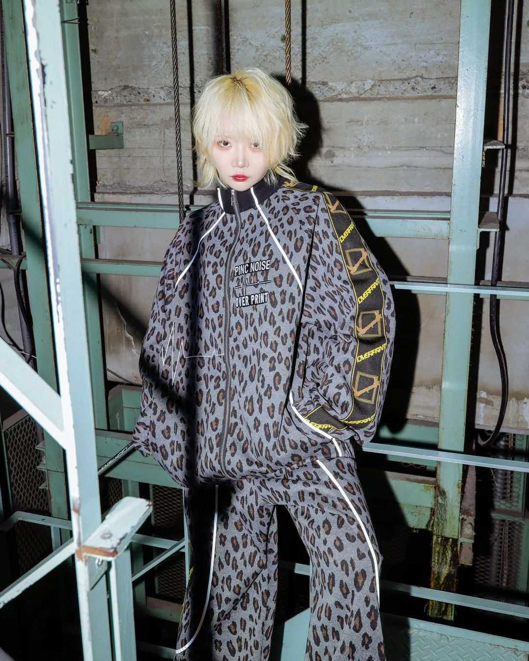 PINC NOISE LEOPARD SET-UP