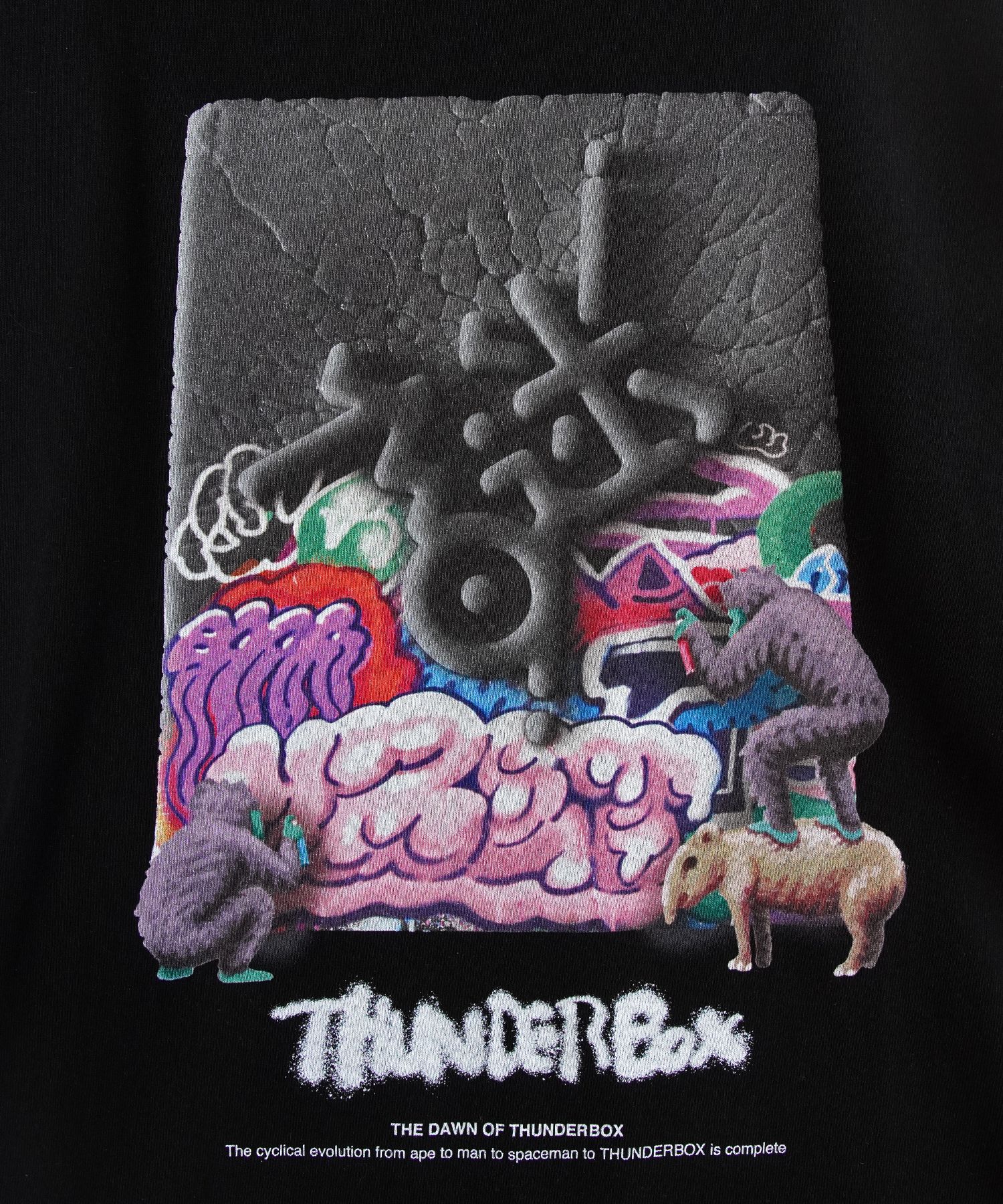 THE DAWN OF-THUNDERBOX