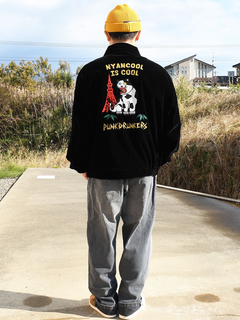 野良猫ベトジャン