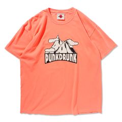 山脈の上にヤギTEE