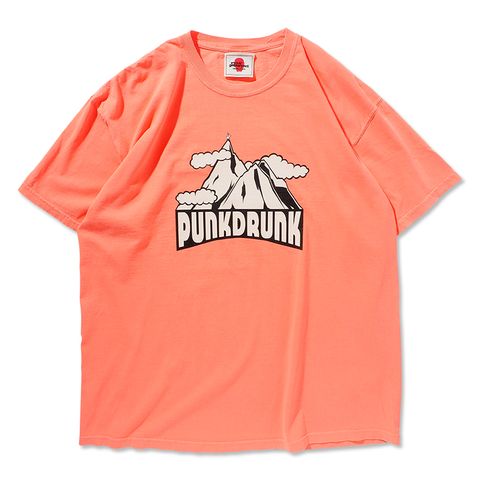 山脈の上にヤギTEE