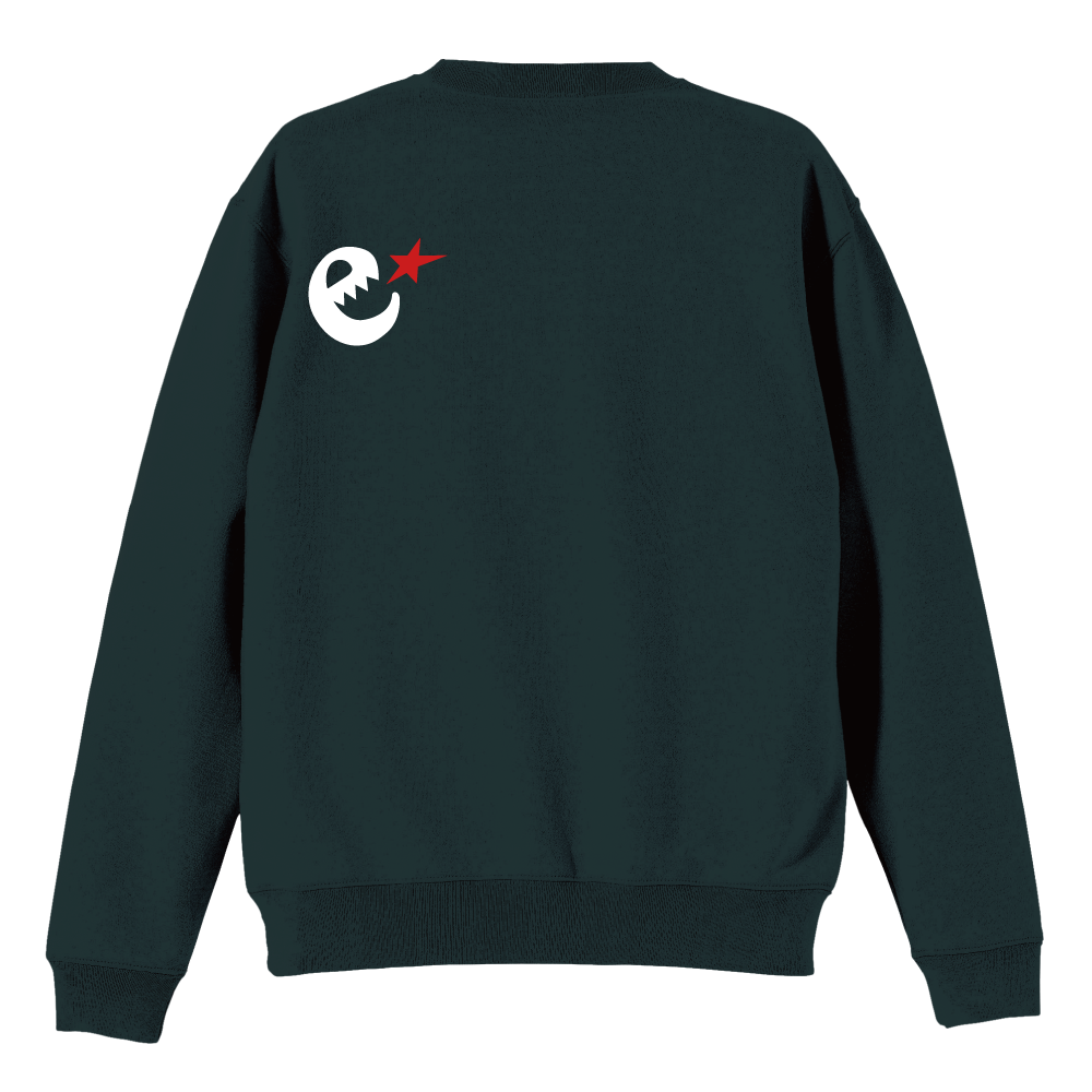 range logo raglan crew sweat 2