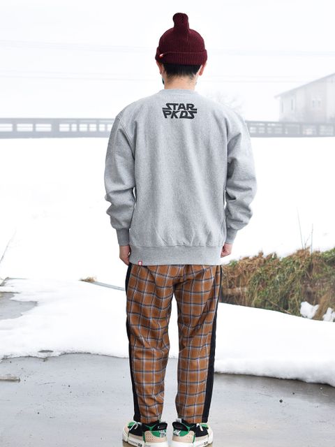 僕たちが地球を守る!