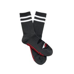 SECT EYE-SOCKS
