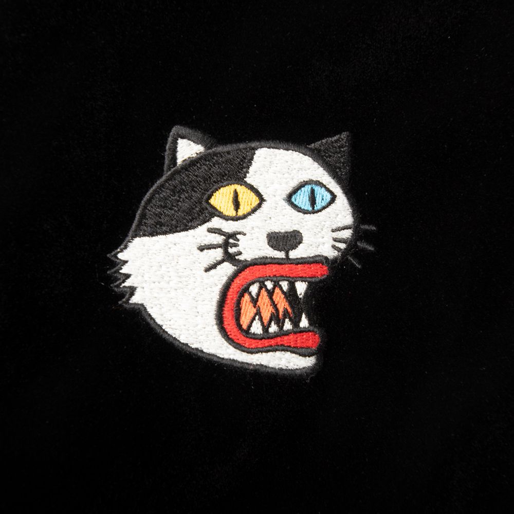 野良猫ベトジャン