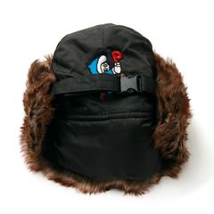 北極あいつフライトCAP