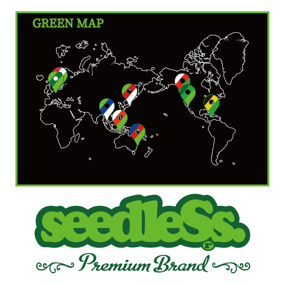 gReen map s/s tee