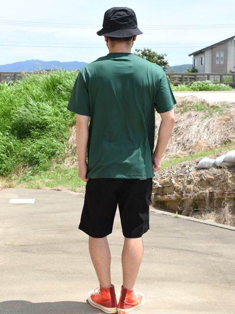 ポケTのNEWスタンダード？
