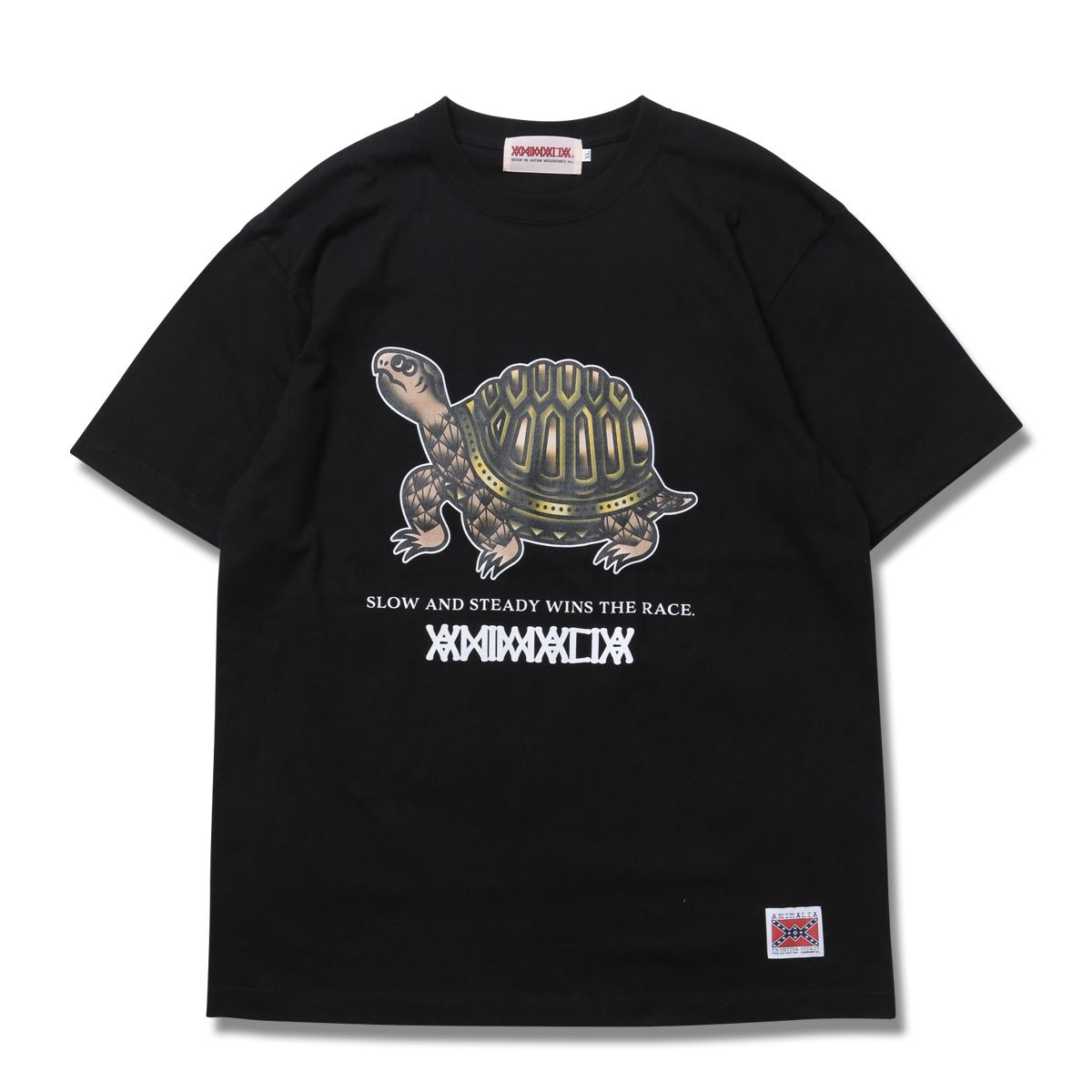 TORTOISE-