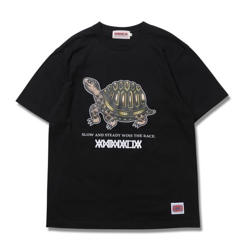 TORTOISE-